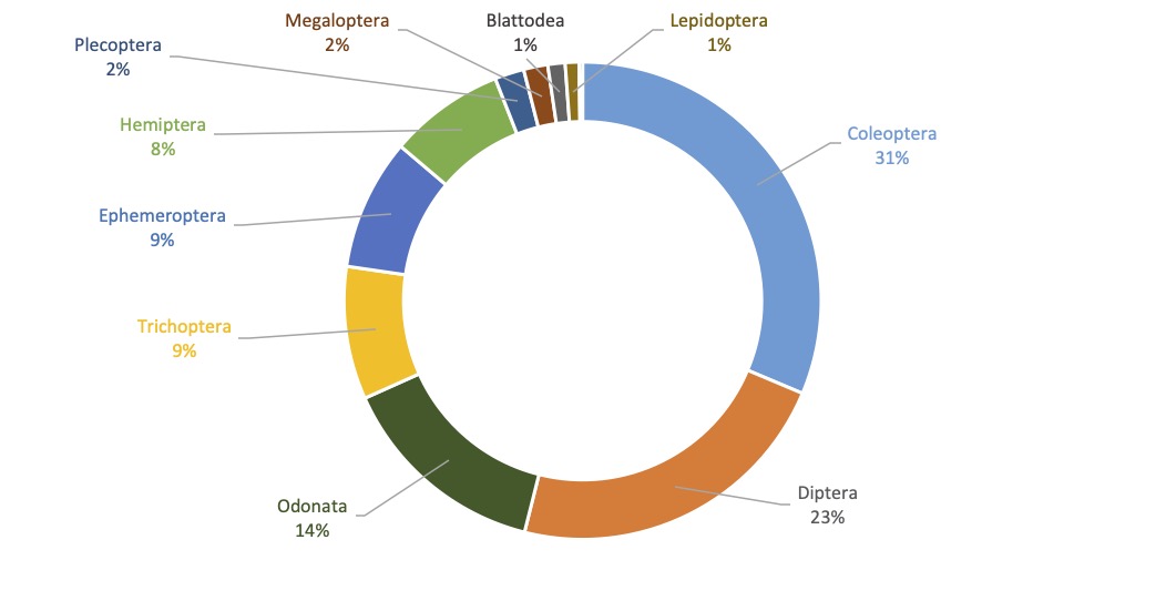 Figura 17. Proporción de lotes ingresados a la COMAC en el 2019, en términos de órdenes taxonómicos.