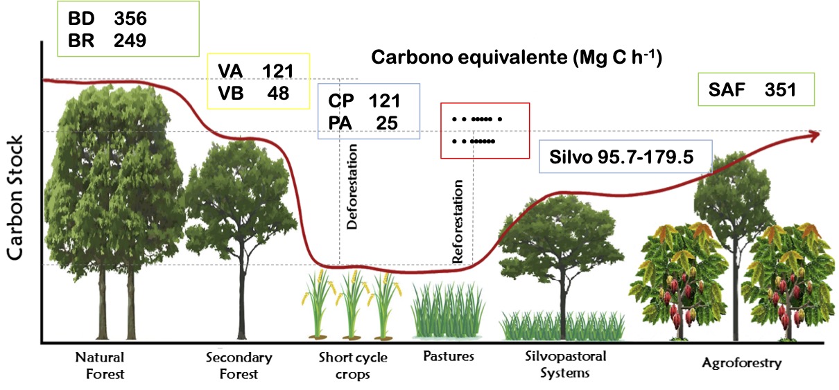 Figura 70. Evolución del Carbono equivalente Mg C*h-1 según la dinámica de intervención en predios que configuran paisajes productivos