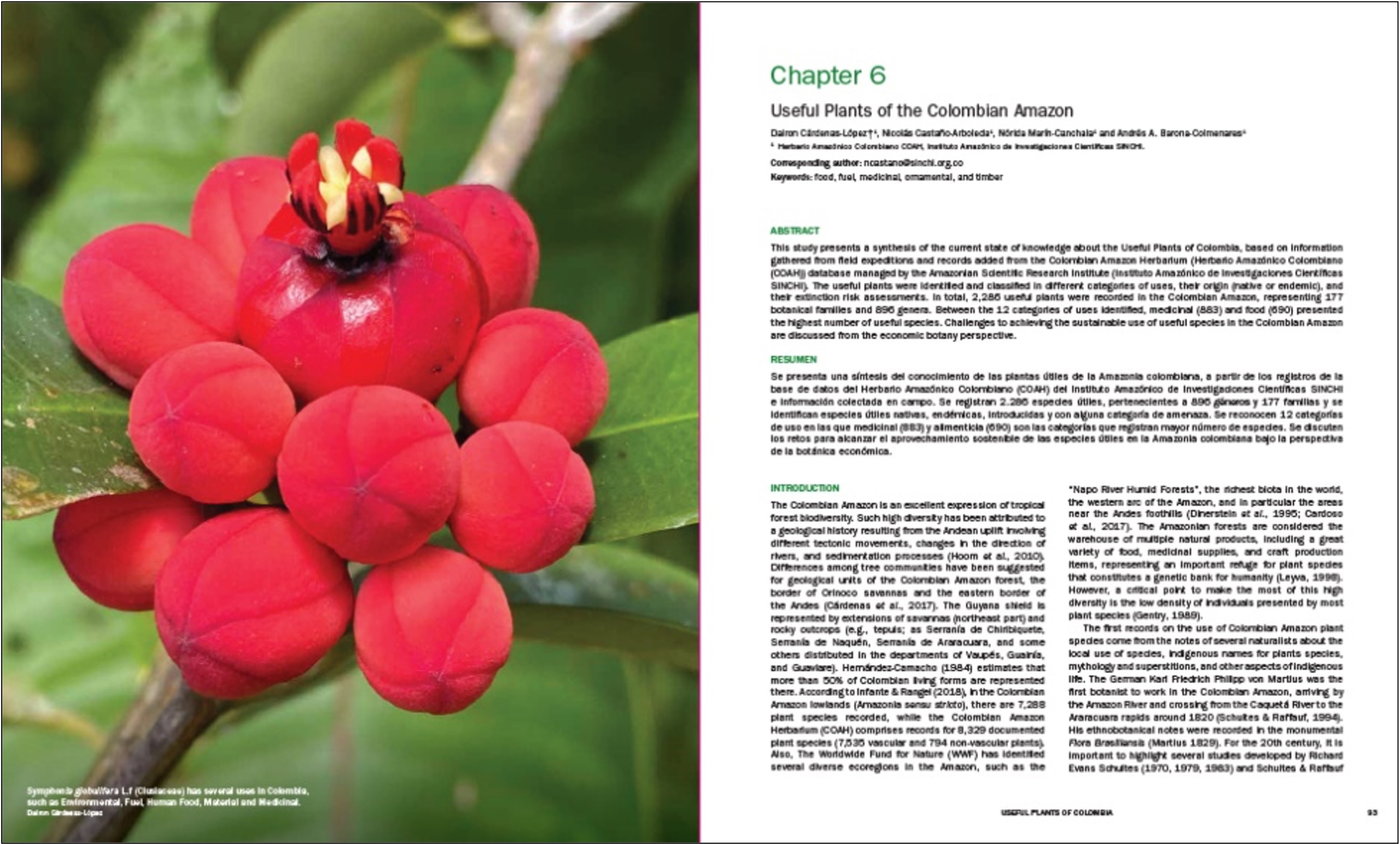 Figura 4. Portada Capitulo 6. Useful Plants of the Colombian Amazon en la publicación: Useful Plants and Fungi of Colombia (UPFC) - Kew Gardens